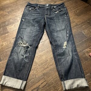 Loft Ann Taylor Blue Relaxed Boyfriend Jeans Button Fly Size 4/27